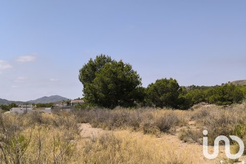 Zemes gabals pārdošanā Sax, Alicante, Spānijā 75648 m2 Nr. 153208 - attēls 10