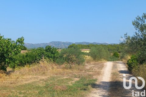 Dom w Rasquera, Tarragona, Hiszpania 3 sypialnie, 124 mkw. nr 153212 – zdjęcie 15