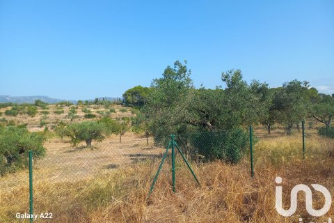 Dom w Rasquera, Tarragona, Hiszpania 3 sypialnie, 124 mkw. nr 153212 – zdjęcie 24