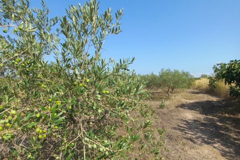 Dom w Rasquera, Tarragona, Hiszpania 3 sypialnie, 124 mkw. nr 153212 – zdjęcie 17