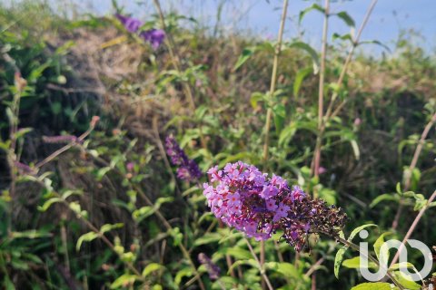 Terreno in vendita a Gijon, Asturias, Spagna 5366 mq. N° 153211 - foto 5