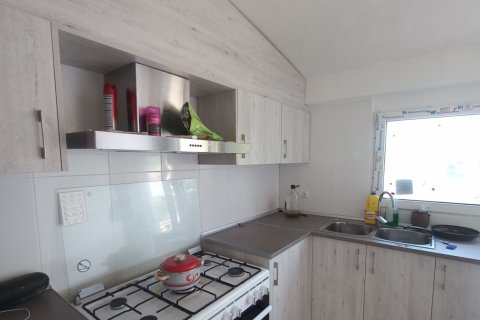 Продажа коммерческой недвижимости в Тортоса, Таррагона, Испания 354м2 №153209 - фото 16