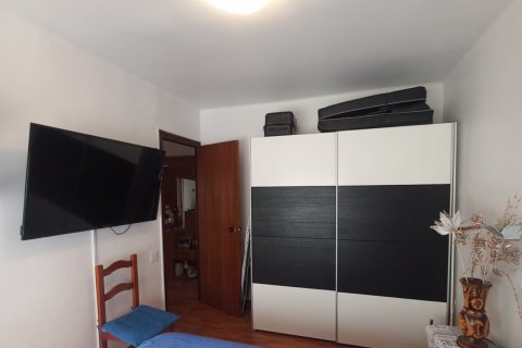 Продажа коммерческой недвижимости в Тортоса, Таррагона, Испания 354м2 №153209 - фото 24