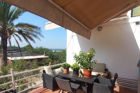 Продажа коммерческой недвижимости в Тортоса, Таррагона, Испания 354м2 №153209 - фото 9