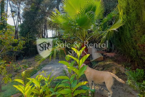 Casa in vendita a Lloret de Mar, Girona, Spagna 4 camere da letto, 260 mq. N° 166433 - foto 25