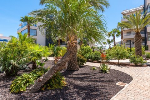 Apartament w Villamartin, Alicante, Hiszpania 3 sypialnie, 72 mkw. nr 146055 – zdjęcie 30