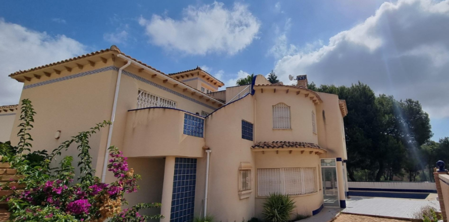 Villa in Las Ramblas, Alicante, Spanien 4 Schlafzimmer, 220 m2 Nr. 146052