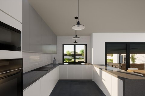 Villa in vendita a Pinoso, Alicante, Spagna 3 camere da letto, 160 mq. N° 142112 - foto 12