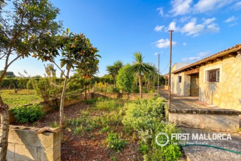 Finca for rent in Sencelles, Mallorca, Spain 3 bedrooms, 130 sq.m. No. 191959 - photo 5