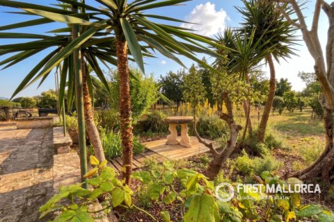 Finca for rent in Sencelles, Mallorca, Spain 3 bedrooms, 130 sq.m. No. 191959 - photo 4