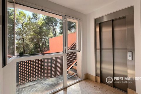 Apartment for rent in Port D'andratx, Mallorca, Spain 3 bedrooms, 92 sq.m. No. 191962 - photo 8