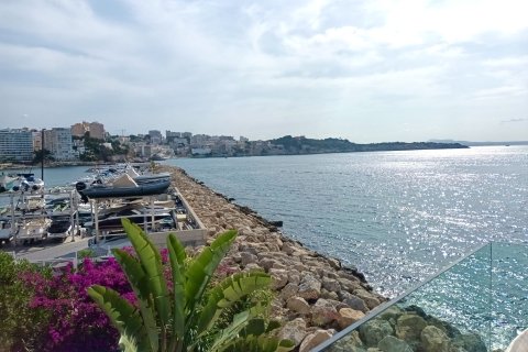 Penthouse for rent in Cas Catala, Mallorca, Spain 3 bedrooms, 144 sq.m. No. 191960 - photo 8