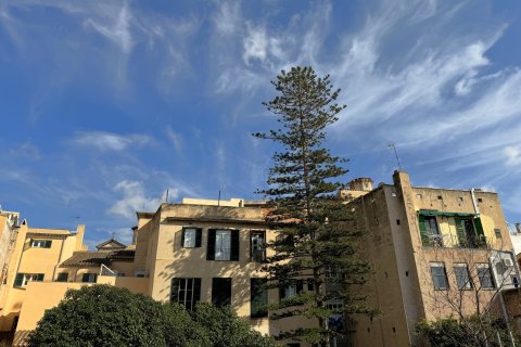 Apartament w Palma de Majorca, Mallorca, Hiszpania 2 sypialnie, 109 mkw. nr 171994 – zdjęcie 15
