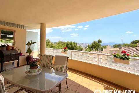 Apartment à Bendinat, Mallorca, Espagne 4 chambres, 150 m2 No. 171996