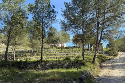 Talo myytävänä Javea, Alicante, Espanja, 5 makuuhuonetta, 350 m2 No. 159158 - kuva 20