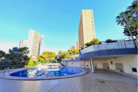 Wohnung zum Verkauf Benidorm, Alicante, Spanien 3 Schlafzimmer, 95 m2 Nr. 135677 - Foto 24