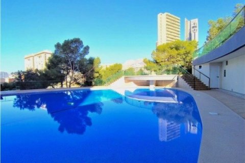 Wohnung zum Verkauf Benidorm, Alicante, Spanien 3 Schlafzimmer, 95 m2 Nr. 135677 - Foto 22