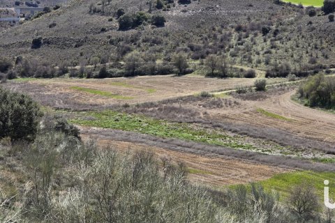 Land plot for sale in Los Santos de la Humosa, Madrid, Spain 49315 sq.m. No. 185938 - photo 7