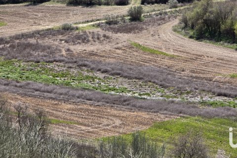 Land plot for sale in Los Santos de la Humosa, Madrid, Spain 49315 sq.m. No. 185938 - photo 6