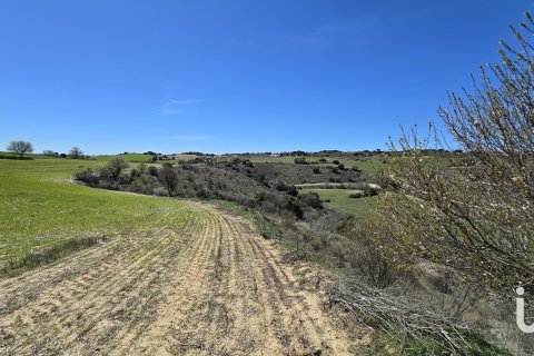 Land plot for sale in Los Santos de la Humosa, Madrid, Spain 49315 sq.m. No. 185938 - photo 4