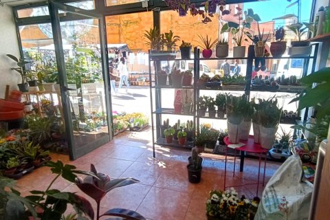 Gewerbeimmobilien zum Verkauf in Sahagun, Leon, Spanien 180 m2 Nr. 185937 - Foto 9