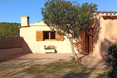 Finca vuokrattavana Pollenca, Mallorca, Espanja, 3 makuuhuonetta, 160 m2 No. 144387 - kuva 2