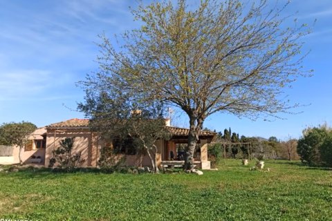 Finca vuokrattavana Pollenca, Mallorca, Espanja, 3 makuuhuonetta, 160 m2 No. 144387 - kuva 1