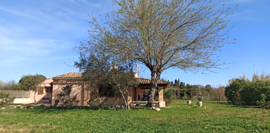 Finca Pollenca, Mallorca, Espanja 3 makuuhuonetta, 160 m2 No. 144387