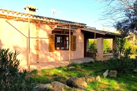 Finca vuokrattavana Pollenca, Mallorca, Espanja, 3 makuuhuonetta, 160 m2 No. 144387 - kuva 17