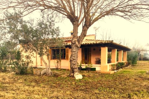 Finca vuokrattavana Pollenca, Mallorca, Espanja, 3 makuuhuonetta, 160 m2 No. 144387 - kuva 18