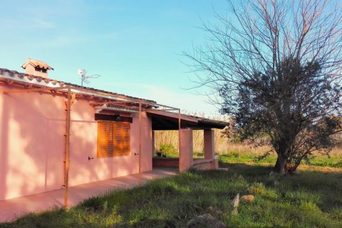 Finca vuokrattavana Pollenca, Mallorca, Espanja, 3 makuuhuonetta, 160 m2 No. 144387 - kuva 19