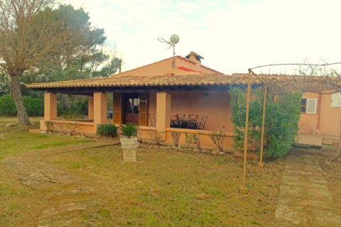 Finca vuokrattavana Pollenca, Mallorca, Espanja, 3 makuuhuonetta, 160 m2 No. 144387 - kuva 16