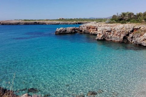 Huvila vuokrattavana Manacor, Mallorca, Espanja, 3 makuuhuonetta, 172 m2 No. 144385 - kuva 12