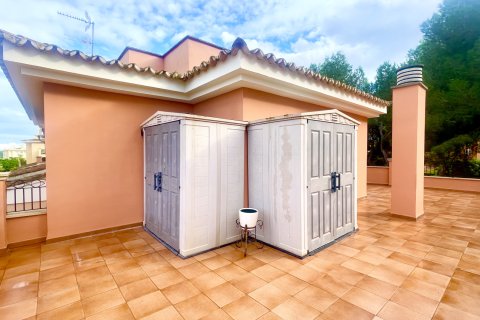 Kattohuoneisto vuokrattavana Llucmajor, Mallorca, Espanja, 2 makuuhuonetta, 237 m2 No. 144386 - kuva 13