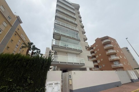 Apartment à Guardamar del Segura, Alicante, Espagne 2 chambres, 74 m2 No. 177549