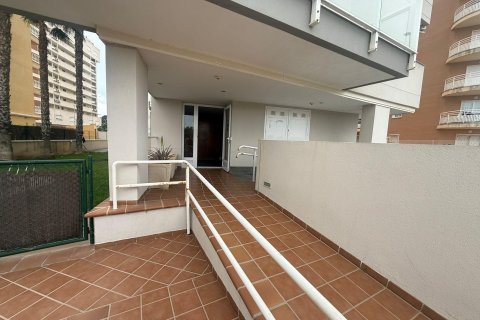 Lägenhet till salu i Guardamar del Segura, Alicante, Spanien 2 sovrum, 74 kvm. Nr. 177549 - foto 29