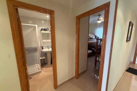 Продажа квартиры в Гуардамар-дель-Сегура, Аликанте, Испания 2 спальни, 80м2 №177548 - фото 24