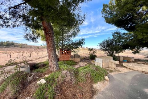 Finca myytävänä Monovar, Alicante, Espanja, 4 makuuhuonetta, 870 m2 No. 189716 - kuva 2