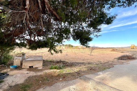 Finca myytävänä Monovar, Alicante, Espanja, 4 makuuhuonetta, 870 m2 No. 189716 - kuva 20