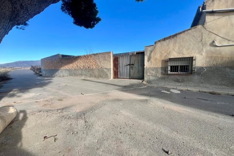 Finca myytävänä Monovar, Alicante, Espanja, 4 makuuhuonetta, 870 m2 No. 189716 - kuva 19