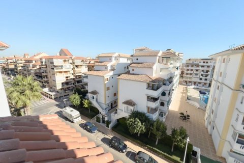 Huoneisto myytävänä La Mata, Alicante, Espanja, 3 makuuhuonetta, 80 m2 No. 113159 - kuva 19
