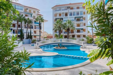 Huoneisto myytävänä La Mata, Alicante, Espanja, 3 makuuhuonetta, 80 m2 No. 113159 - kuva 26