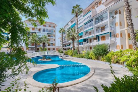 Huoneisto myytävänä La Mata, Alicante, Espanja, 3 makuuhuonetta, 80 m2 No. 113159 - kuva 25
