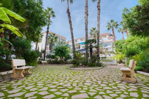 Huoneisto myytävänä La Mata, Alicante, Espanja, 3 makuuhuonetta, 80 m2 No. 113159 - kuva 28