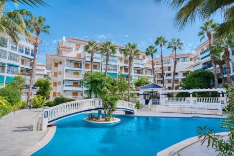 Huoneisto myytävänä La Mata, Alicante, Espanja, 3 makuuhuonetta, 80 m2 No. 113159 - kuva 23