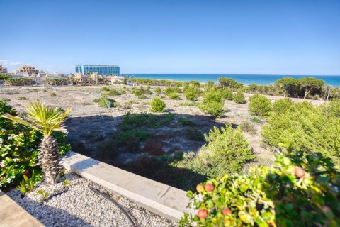 Apartment for sale Guardamar del Segura, Alicante, Spain 2 bedrooms, 71 sq.m. No. 113158 - photo 22