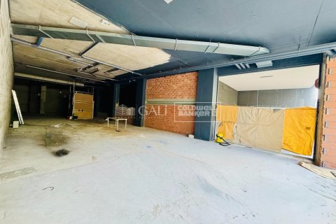 Commercial property for rent in Principado De Andorra (Ninguna Poblacion Tiene C.P.), Lleida, Spain 395 sq.m. No. 160469 - photo 8