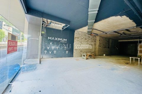 Commercial property for rent in Principado De Andorra (Ninguna Poblacion Tiene C.P.), Lleida, Spain 395 sq.m. No. 160469 - photo 7