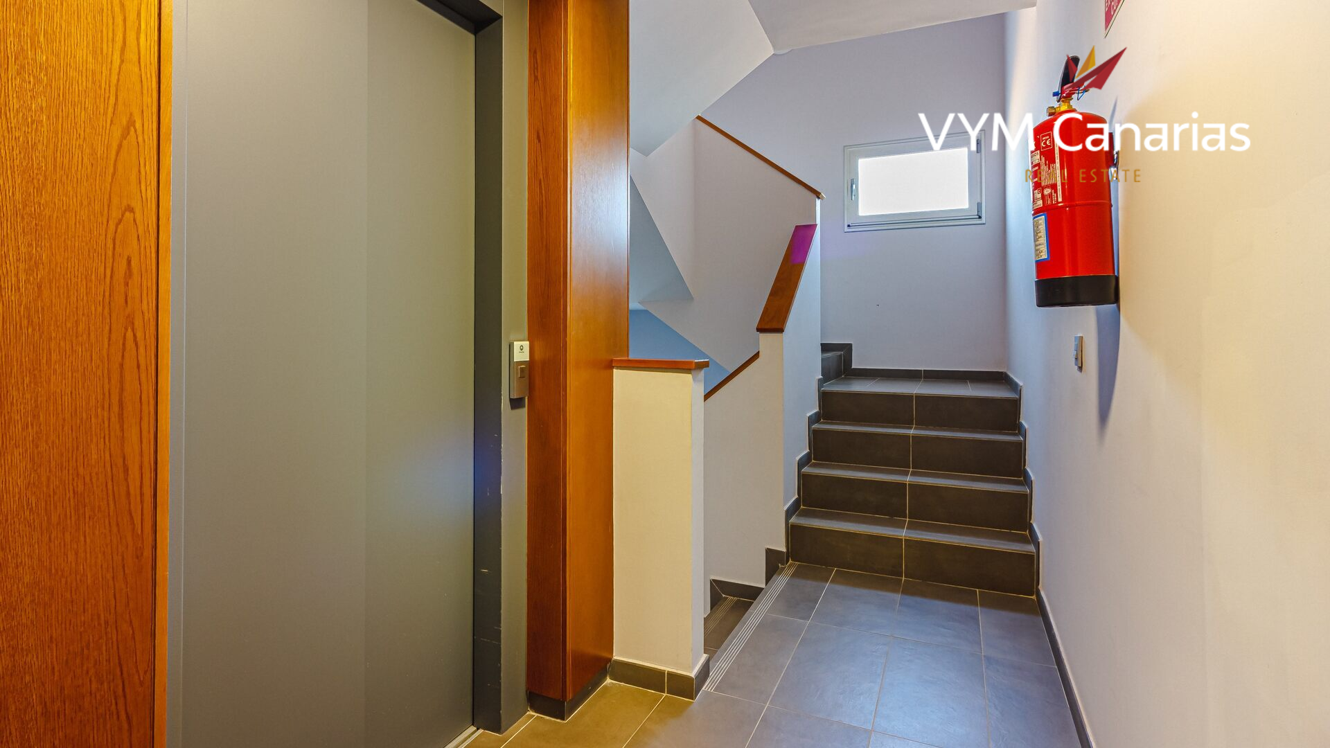 Apartment in El Medano, Tenerife, Spain 2 bedrooms,  No. 164838