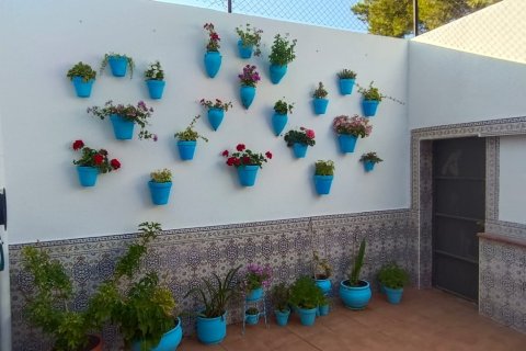 Продажа квартиры в Сакс, Аликанте, Испания 4 спальни, 314м2 №153159 - фото 4